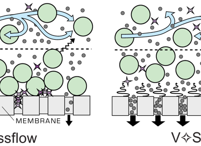 Vibratory Shear Enhanced Process 技术及部分应用总结